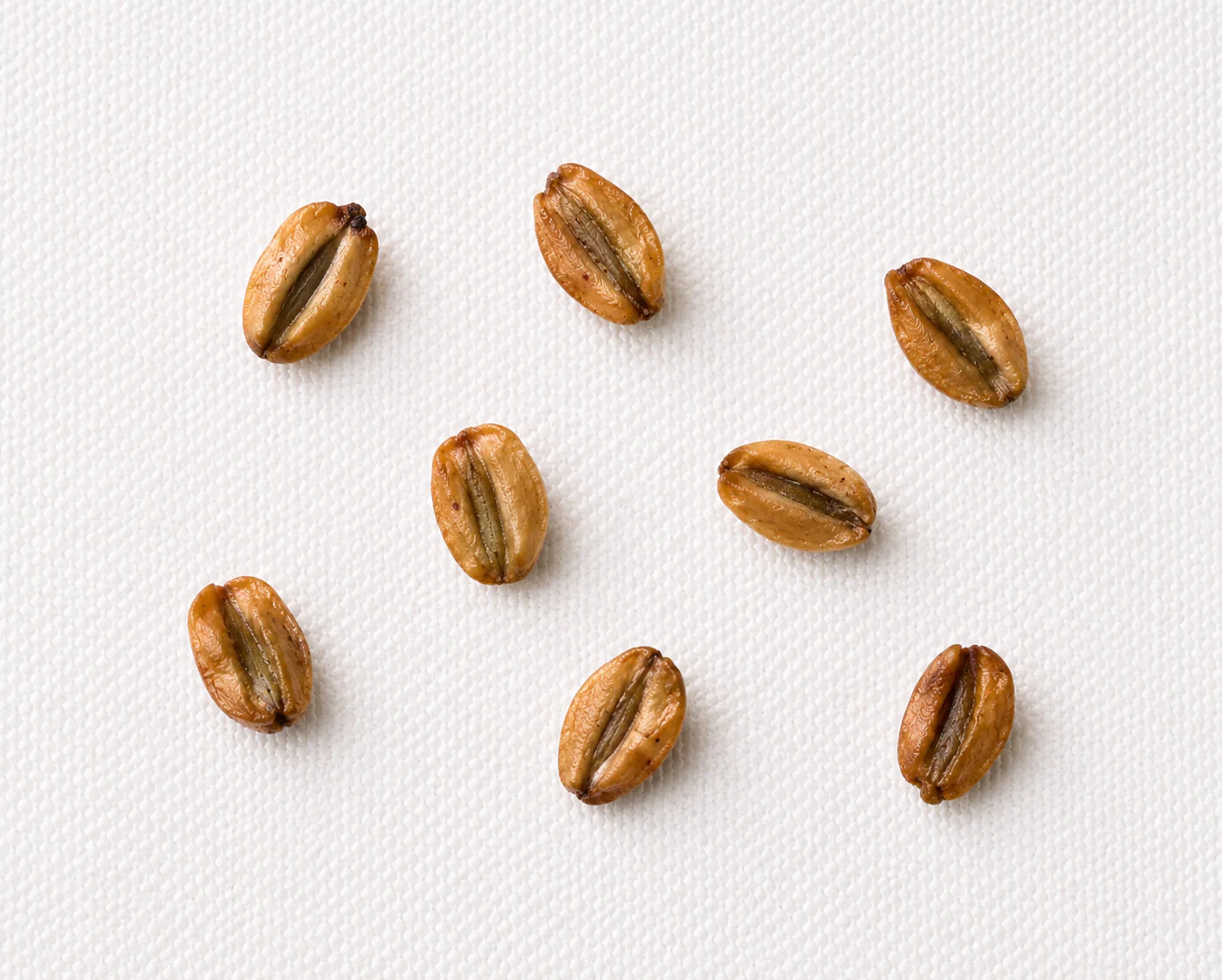 A sequoia seed, to scale